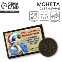 Монета в коробочке новогодняя &laquo;Волшебный талисман&raquo; на Новый год, диам. 2.5 см