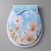 Сиденье для унитаза с крышкой Доляна &laquo;Ромашки&raquo;, 42&times;36,5 см