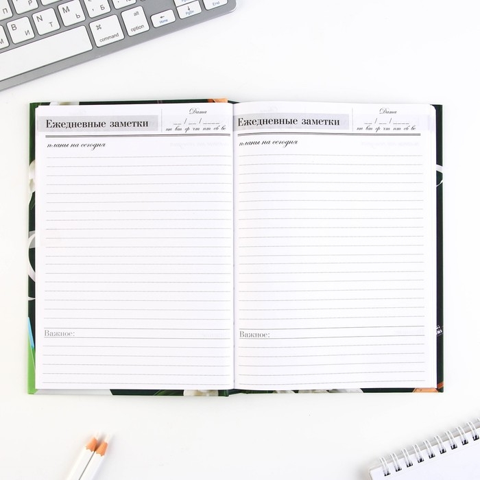 Набор &laquo;Лучшему учителю&raquo;: ежедневник А5 160 листов, планинг 50 листов и ручка пластик