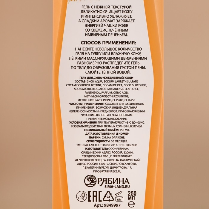 Гель для душа, 250 мл, аромат имбирного печенья, Новый Год