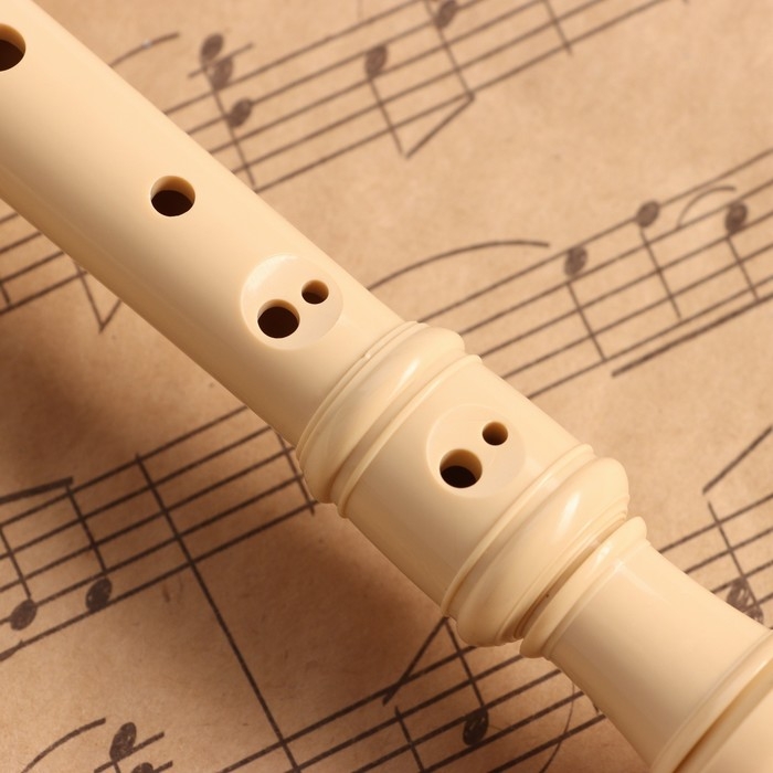 Блокфлейта Music Life, 8 отверстий, белый чехол, шомпол, 30 см