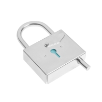 Замок висячий контрольный ВС-5 цинк , 10 шт Замок висячий контрольный ВС-5 цинк , 10 шт