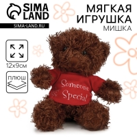 Мягкая игрушка в мешочке "Для самой любимой" МИКС Мягкая игрушка в мешочке "Для самой любимой" МИКС