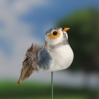 Штекер "Птичка Невеличка" 3х5см, длина 9см Штекер "Птичка Невеличка" 3х5см, длина 9см