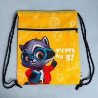 Мешок для обуви &laquo;Учусь на 5!&raquo; 2 секции, 30 х 40 см