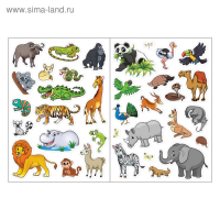 Наклейки многоразовые набор &laquo;Изучаем живую природу&raquo;, 8 шт.