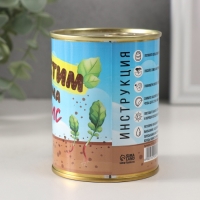 Растущий подарок травка "Растим дома редис"