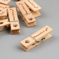 Декор для творчества дерево "Прищепка - Светлой Пасхи!" набор 10 шт