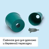 Набор для рассады: стаканы по 500 мл (8 шт.), поддон 40 &times; 20 см, цвет МИКС, Greengo