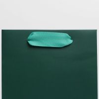 Пакет подарочный под бутылку, упаковка, &laquo;Изумруд&raquo;, 13 x 36 x 10 см