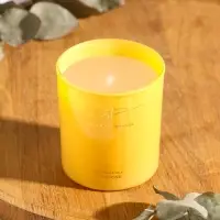 Свеча ароматическая Stella Fragrance 160 гр, Tuberose