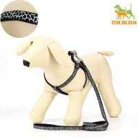 Комплект прошитый "Жираф", ширина 1 см, поводок 120 см, шлейка 23-35 см, чёрно-белый