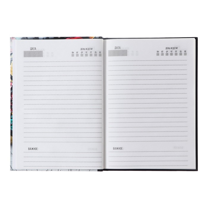 Ежедневник недатированный А5, 80 листов, твёрдая обложка "КЕДЫ. URBAN", блок офсет