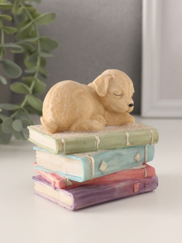Сувенир полистоун "Щенок спит на книгах" 9х7х8,5 см