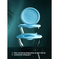 Набор контейнеров &laquo;Роза&raquo;, 1500 мл, 850 мл, 450 мл, стекло, Иран