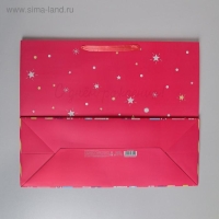 Пакет подарочный ламинированный, упаковка, &laquo;С Днём Рождения&raquo;, XL 49 х 40 х 19 см