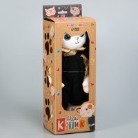Мягкая игрушка «Мой котик. Девочка Бенни», в коробке, 30 см Мягкая игрушка «Мой котик. Девочка Бенни», в коробке, 30 см