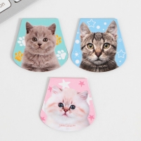 Закладки магнитные для книг, 3 шт &laquo;Котики&raquo;