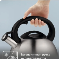 Чайник для плиты C7921024 из нержавеющей стали, со свистком