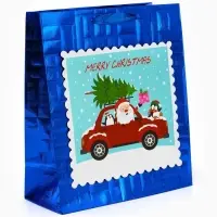 Набор подарочных пакетов &laquo;Новый год&raquo;, 2 шт,  25,4 &times; 30,5 &times; 12,7 см