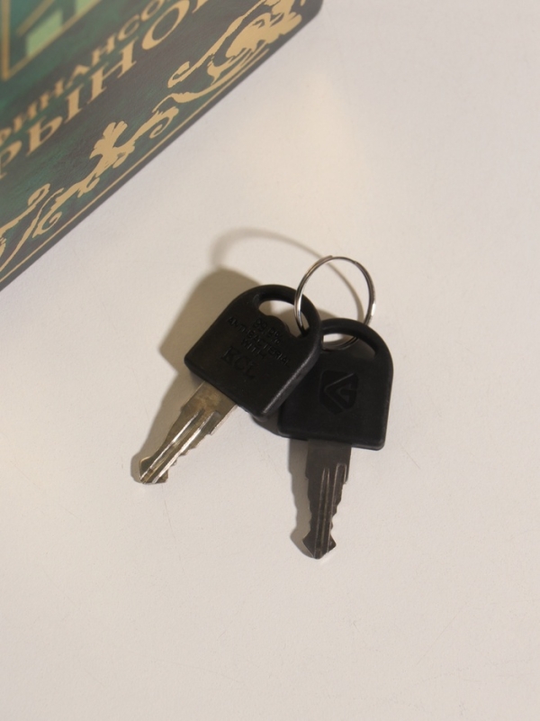 Сейф-книга дерево кожзам "Финансовый рынок" тиснение 21х13х5 см