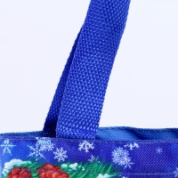 Мешок для подарков &laquo;Дракончик с подарком&raquo;