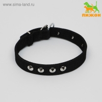 Ошейник для животных