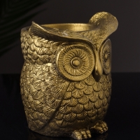 Кашпо "Совушка" 11х10х10 см, цвет латунь Кашпо "Совушка" 11х10х10 см, цвет латунь