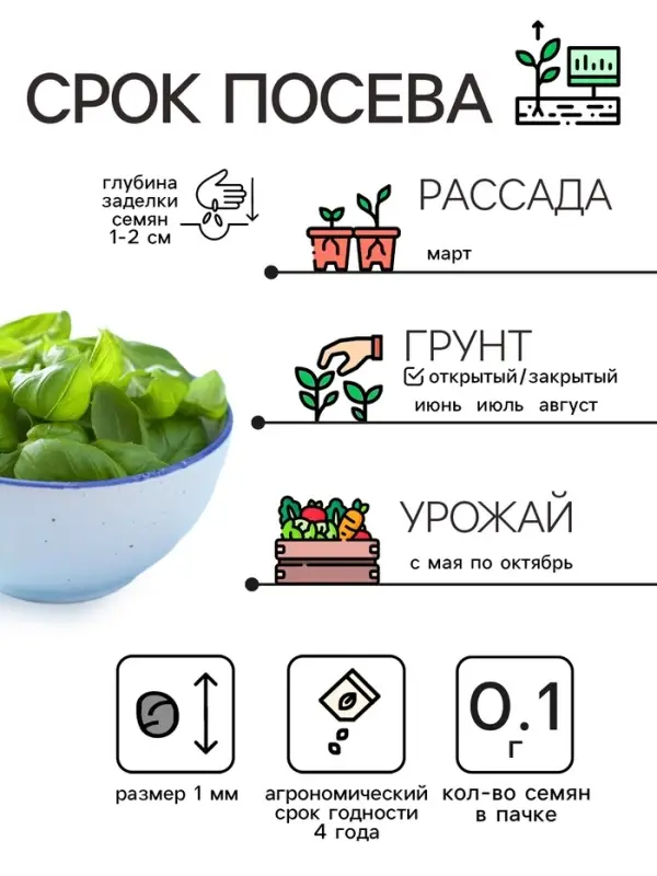 Семена Базилик "Зеленый ароматный", 0,1 г