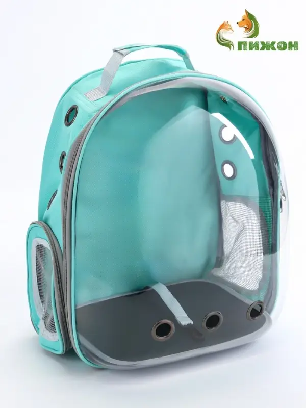 Рюкзак для переноски животных прозрачный, 31 х 28 х 42 см, бирюзовый