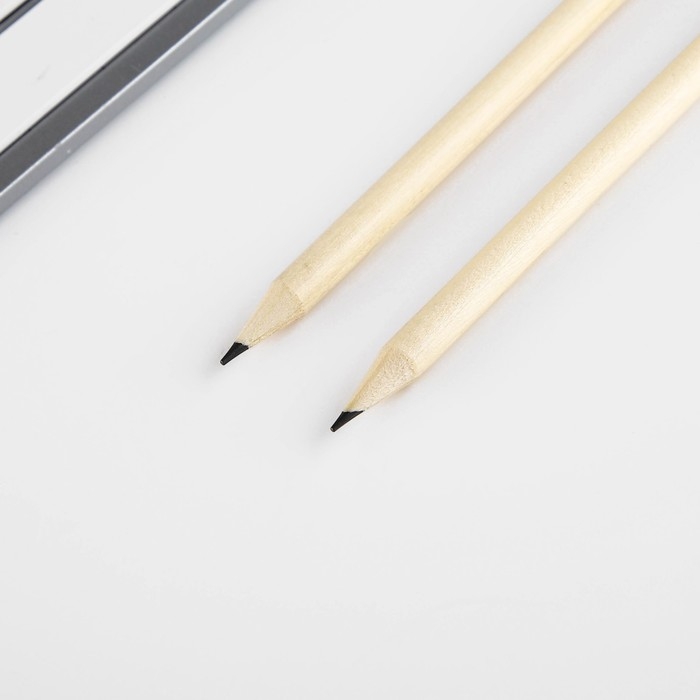 Подарочный набор &laquo;Мечтай&raquo;, карандаши 2 шт, ластики 2 шт, блокнот