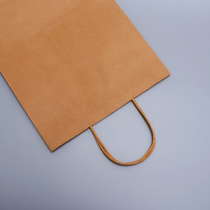 Пакет крафт без печати, круглая ручка, 26 х 12 х 33 см, 120 г