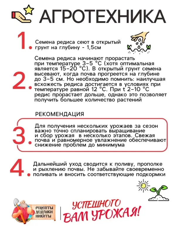 Семена Редис "Рубин", 1 г