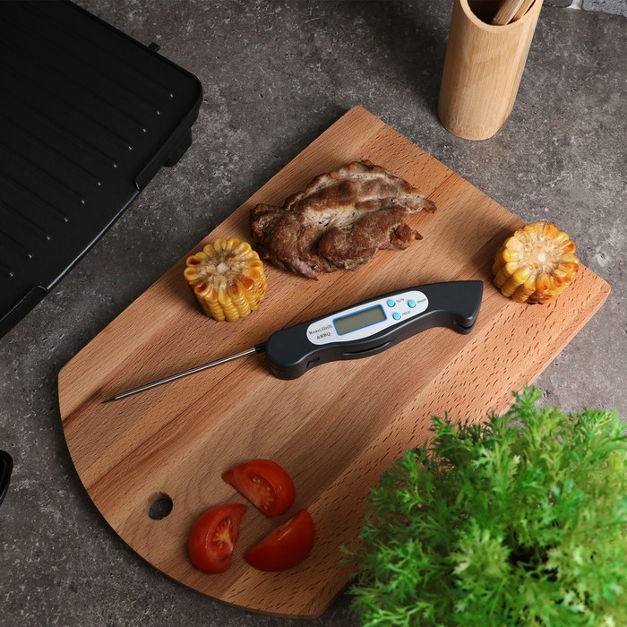 Термометр (термощуп) кухонный LTR-08, макс. темп. 300 °C, складной, от ААА (не в комплекте), чёрный Термометр (термощуп) кухонный LTR-08, макс. темп. 300 °C, складной, от ААА (не в комплекте), чёрный