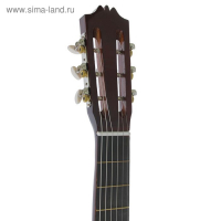 Акустическая гитара 6-ти струнная, менз. 650мм., струны металл, головка с пазами Акустическая гитара 6-ти струнная, менз. 650мм., струны металл, головка с пазами