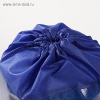 Мешок для обуви &laquo;Собака&raquo; 30 х 40 см