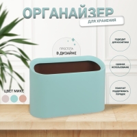 Органайзер для хранения, 21 × 21,5 × 12,5 × 15 см, цвет МИКС Органайзер для хранения, 21 × 21,5 × 12,5 × 15 см, цвет МИКС
