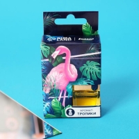 Ароматизатор подвесной в бутылочке, размер XXL &laquo;Тропики&raquo;