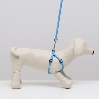 Комплект "Классика", капрон, поводок 120 х 1 см, ОГ 21-35 см, голубой Комплект "Классика", капрон, поводок 120 х 1 см, ОГ 21-35 см, голубой