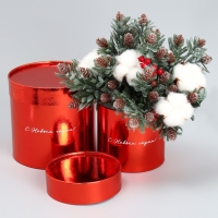 Набор коробок 2в1 круглые &laquo;С Новым годом!&raquo;, красный металлик, 12 х 12, 15 х 15 см, Новый год