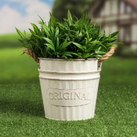 Кашпо "Ведерко оригинальное" МИКС, 16х16х15см Кашпо "Ведерко оригинальное" МИКС, 16х16х15см
