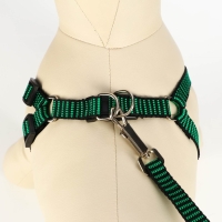 Комплект амуниции рельефный, 1,5 см, шлейка 36-49 см, поводок 120 см, зелёно-чёрный Комплект амуниции рельефный, 1,5 см, шлейка 36-49 см, поводок 120 см, зелёно-чёрный