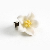 Заколки для волос &laquo;Для самой особенной&raquo;, 10 шт., 1.3 х 1.3 х 1.5 см