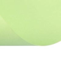 Бумага цветная А4, 50 листов Calligrata Пастель, зелёная, 80 г/м&sup2;