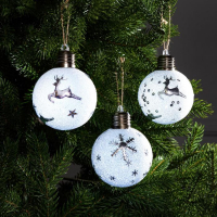 Набор ёлочных шаров &laquo;Серебристые узоры&raquo; 3 шт., батарейки, 1 LED, свечение белое
