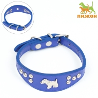 Ошейник-селедка со щенком, 29-32 х 2,5 см, искусственная кожа, синий Ошейник-селедка со щенком, 29-32 х 2,5 см, искусственная кожа, синий