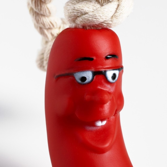 Игрушка "Сосиска в очках на верёвке" для собак, 14 см