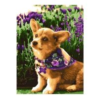 Картина по номерам &laquo;Милый корги&raquo;, холст на подрамнике, 30 &times; 40 см