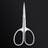 Ножницы маникюрные «Premium satin», узкие, прямые, матовые, 9,6 см, цвет серебристый Ножницы маникюрные «Premium satin», узкие, прямые, матовые, 9,6 см, цвет серебристый