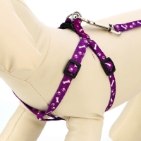 Комплект "Классика", поводок 120 х 1 см, ОГ 28-47 см, фиолетовый